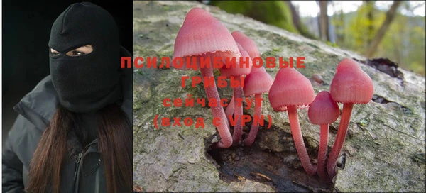 крисы Алексин