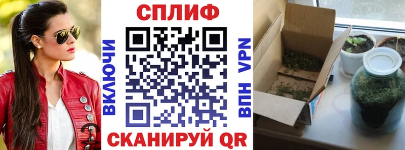 где купить   Суджа  МАРИХУАНА гибрид 